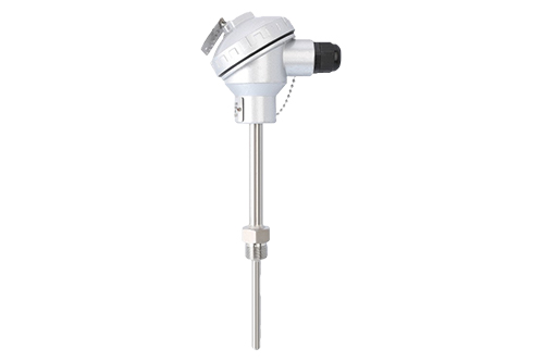 {$productinfo->name}